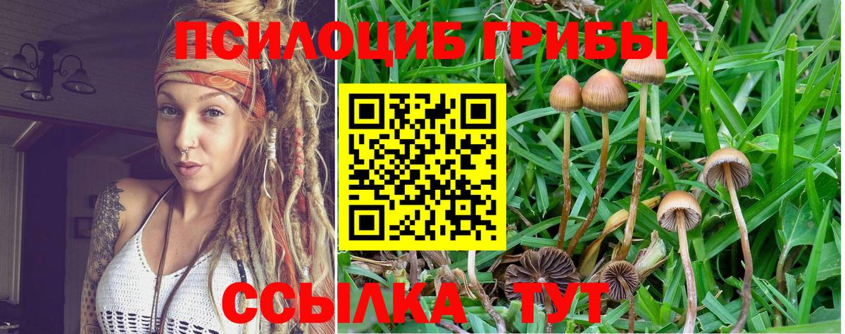 Галлюциногенные грибы Magic Shrooms  Вход с VPN  Галлюциногенные грибы Cubensis  Зеленодольск 