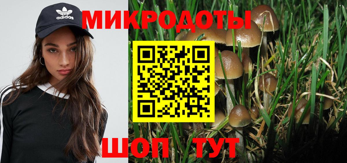 Галлюциногенные грибы MAGIC MUSHROOMS Зеленодольск
